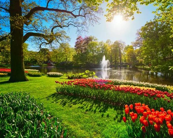 Beautiful garden with fountain and tulips
