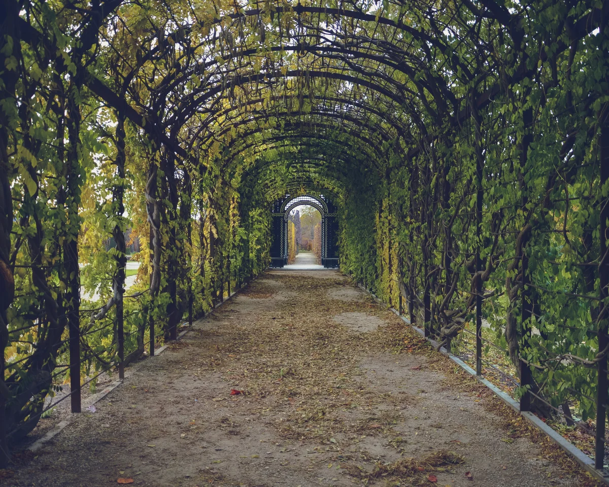 Garden Fencing & Boundaries