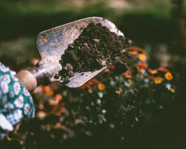 Soil Testing & Treatment